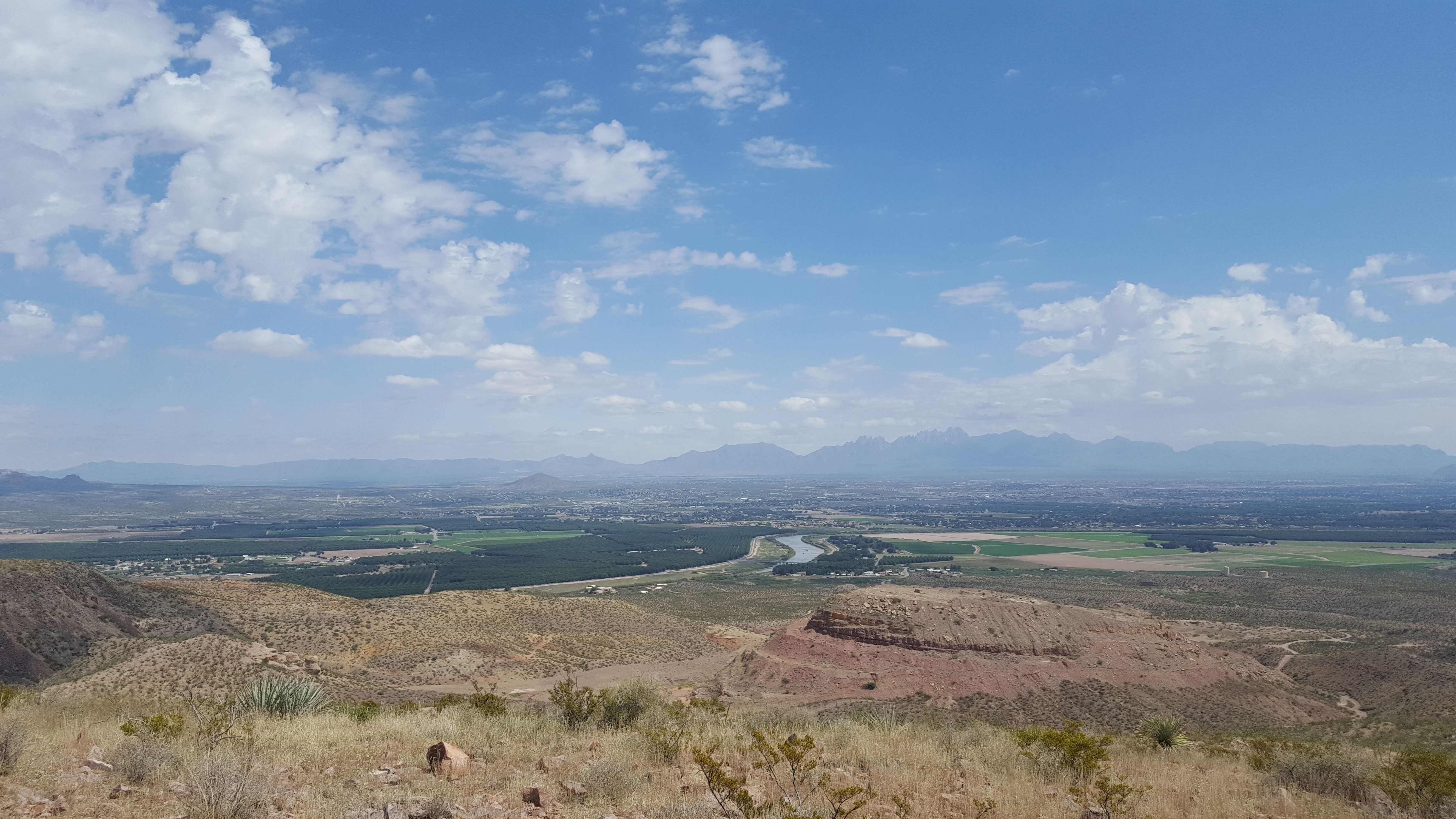 Exploring the Terroir of Mesilla Valley Unveiling the Essence of Wine